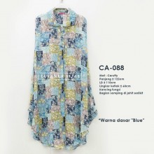 CA-088 Outer Ceruti / Cerutty motif